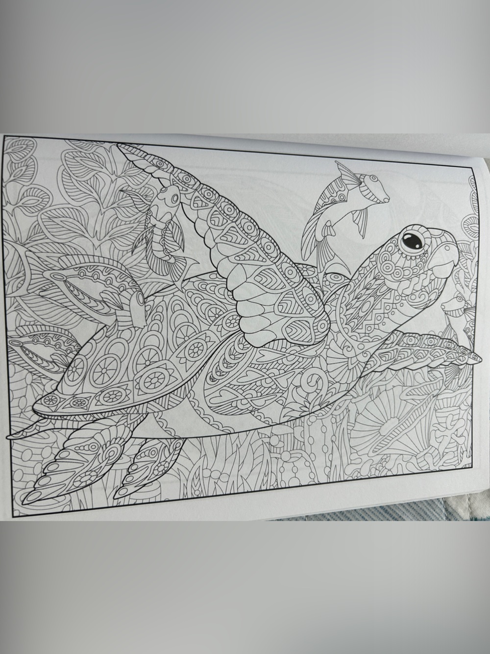 Adult Coloring Book New - Picture 3 of 3